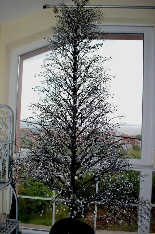 Wohnung Mit Meerblick Romy Preko Croácia