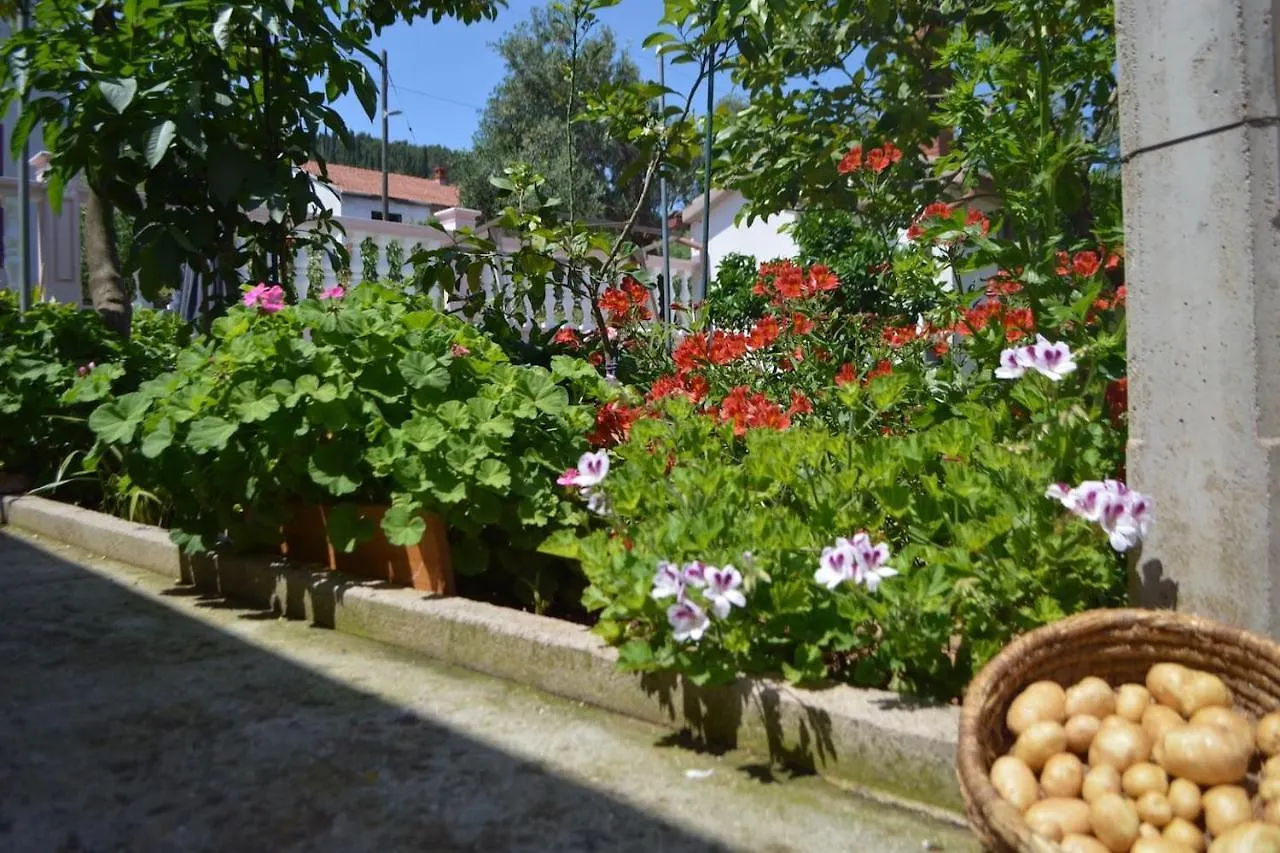 Wohnung Mit Meerblick Romy Preko Croácia